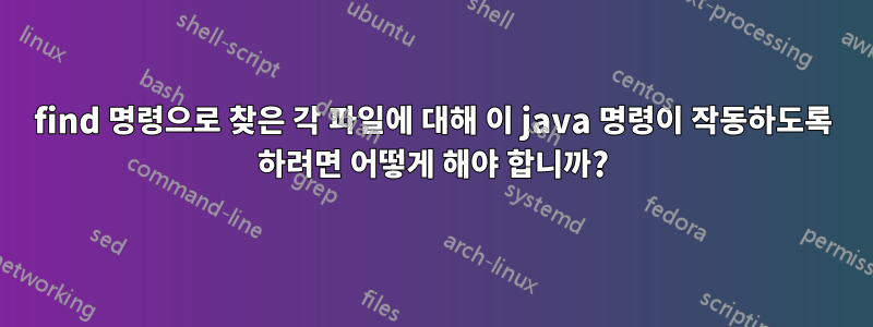 find 명령으로 찾은 각 파일에 대해 이 java 명령이 작동하도록 하려면 어떻게 해야 합니까?