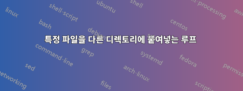 특정 파일을 다른 디렉토리에 붙여넣는 루프