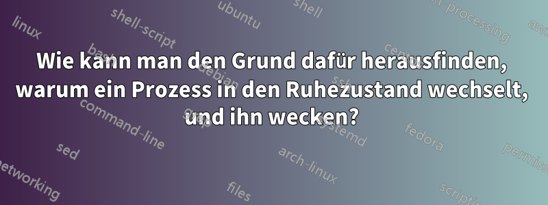 Wie kann man den Grund dafür herausfinden, warum ein Prozess in den Ruhezustand wechselt, und ihn wecken?