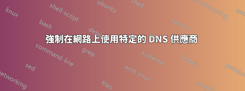 強制在網路上使用特定的 DNS 供應商