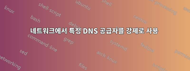 네트워크에서 특정 DNS 공급자를 강제로 사용