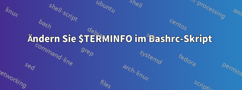 Ändern Sie $TERMINFO im Bashrc-Skript