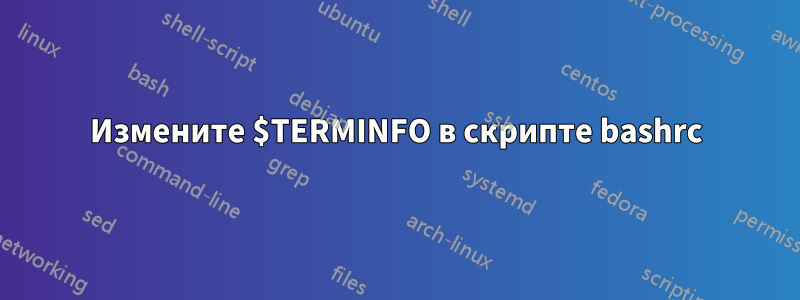 Измените $TERMINFO в скрипте bashrc