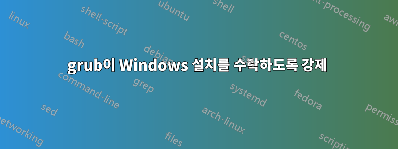 grub이 Windows 설치를 수락하도록 강제
