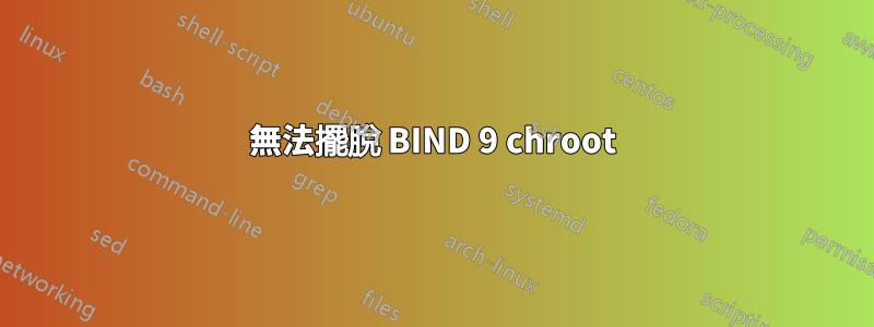 無法擺脫 BIND 9 chroot