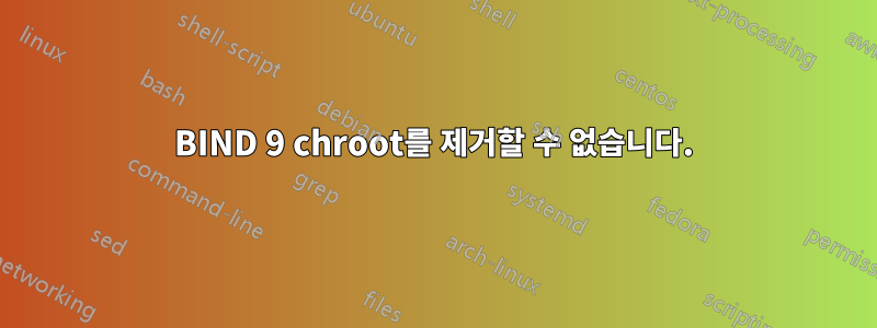 BIND 9 chroot를 제거할 수 없습니다.