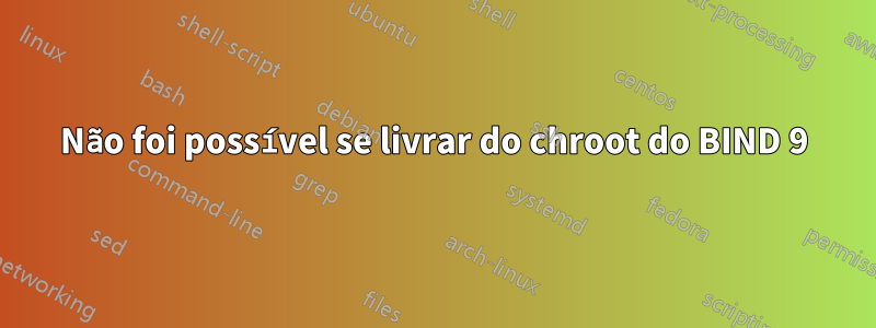 Não foi possível se livrar do chroot do BIND 9