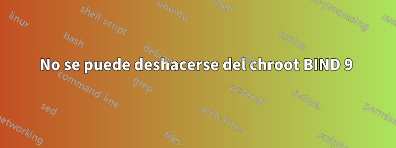No se puede deshacerse del chroot BIND 9