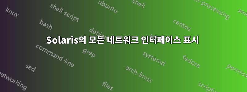 Solaris의 모든 네트워크 인터페이스 표시