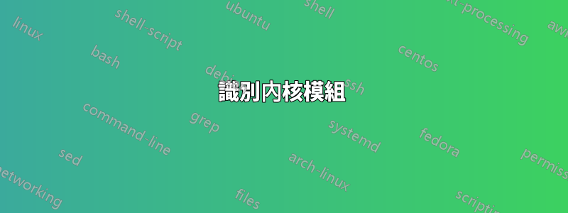 識別內核模組