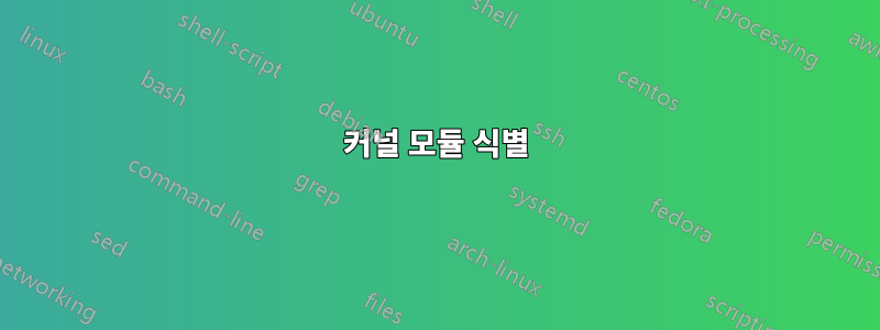 커널 모듈 식별