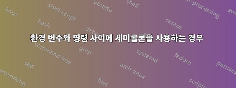 환경 변수와 명령 사이에 세미콜론을 사용하는 경우