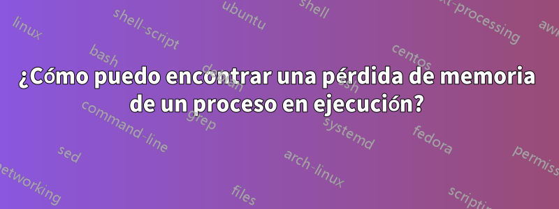 ¿Cómo puedo encontrar una pérdida de memoria de un proceso en ejecución?