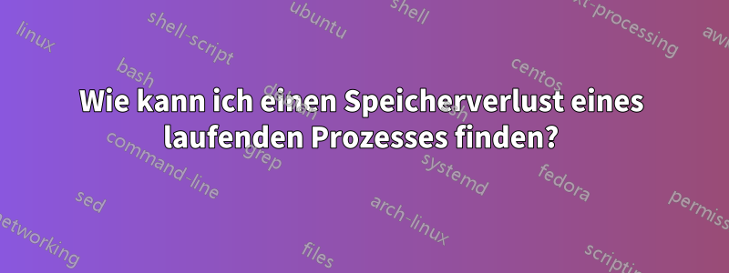 Wie kann ich einen Speicherverlust eines laufenden Prozesses finden?