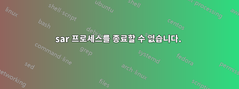sar 프로세스를 종료할 수 없습니다.