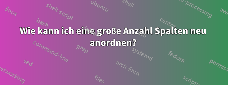 Wie kann ich eine große Anzahl Spalten neu anordnen?