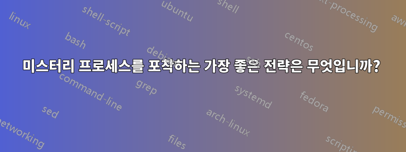 미스터리 프로세스를 포착하는 가장 좋은 전략은 무엇입니까?