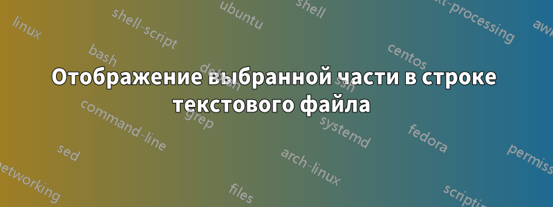 Отображение выбранной части в строке текстового файла 