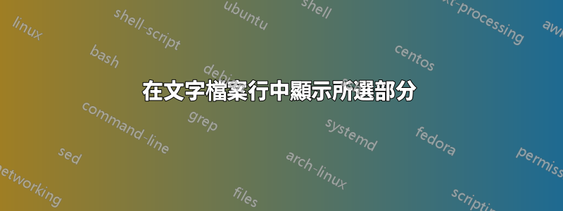 在文字檔案行中顯示所選部分