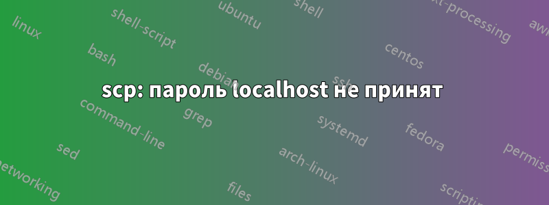 scp: пароль localhost не принят