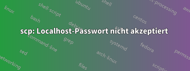 scp: Localhost-Passwort nicht akzeptiert