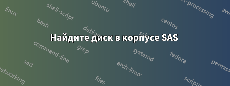 Найдите диск в корпусе SAS