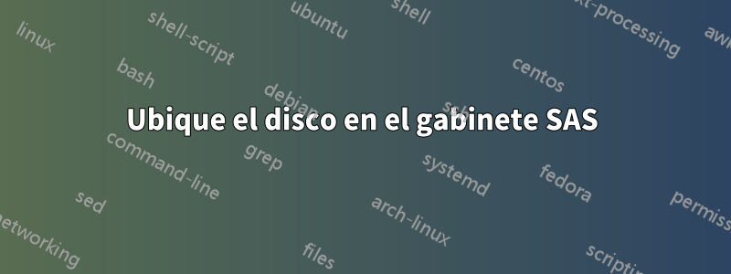 Ubique el disco en el gabinete SAS