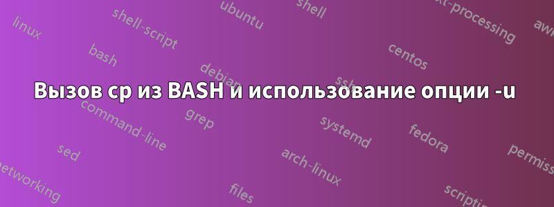 Вызов cp из BASH и использование опции -u