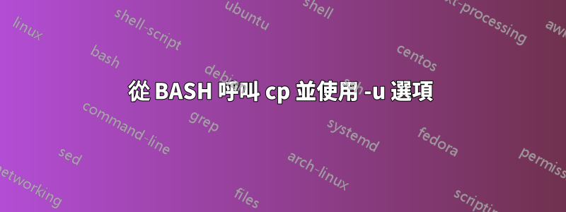 從 BASH 呼叫 cp 並使用 -u 選項