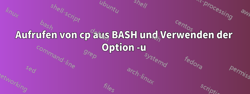 Aufrufen von cp aus BASH und Verwenden der Option -u