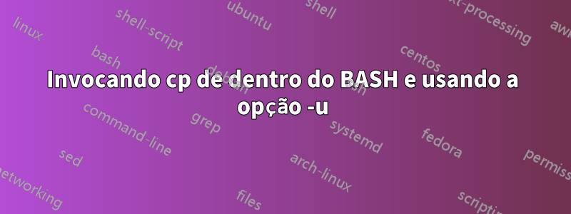 Invocando cp de dentro do BASH e usando a opção -u