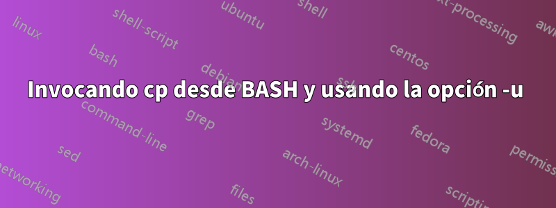 Invocando cp desde BASH y usando la opción -u