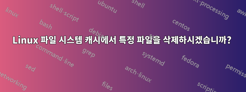 Linux 파일 시스템 캐시에서 특정 파일을 삭제하시겠습니까?