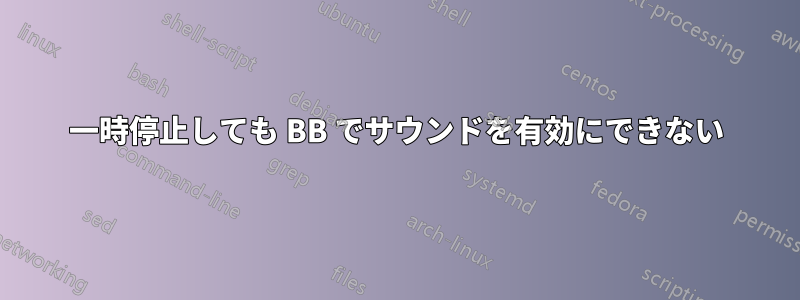 一時停止しても BB でサウンドを有効にできない
