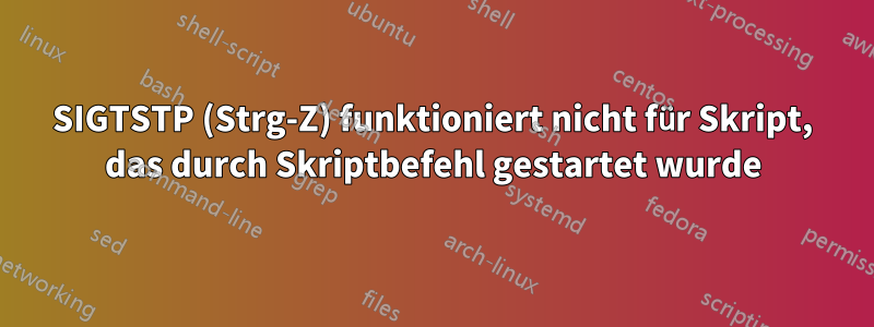 SIGTSTP (Strg-Z) funktioniert nicht für Skript, das durch Skriptbefehl gestartet wurde