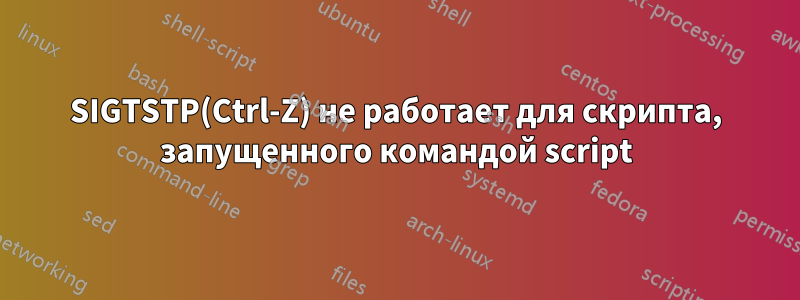 SIGTSTP(Ctrl-Z) не работает для скрипта, запущенного командой script