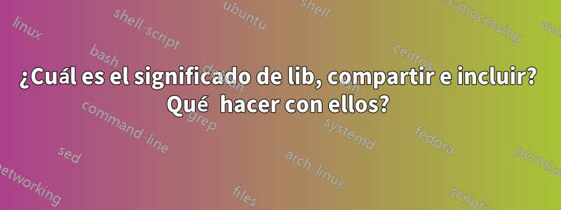 ¿Cuál es el significado de lib, compartir e incluir? Qué hacer con ellos?