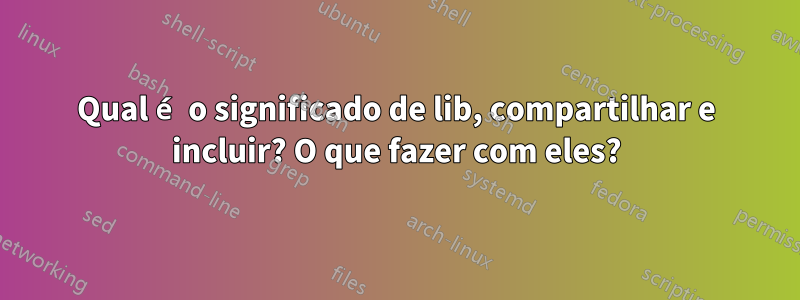 Qual é o significado de lib, compartilhar e incluir? O que fazer com eles?