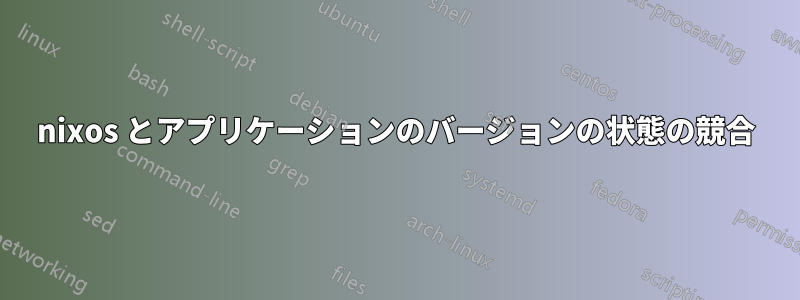 nixos とアプリケーションのバージョンの状態の競合
