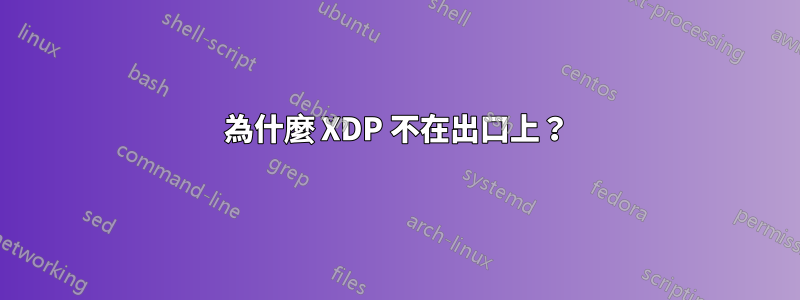 為什麼 XDP 不在出口上？