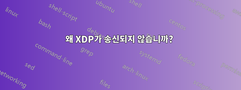 왜 XDP가 송신되지 않습니까?