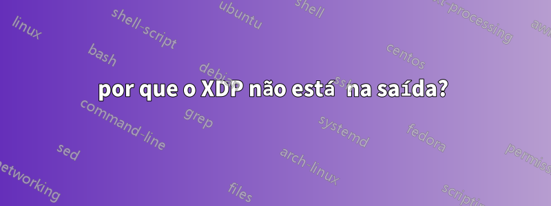 por que o XDP não está na saída?