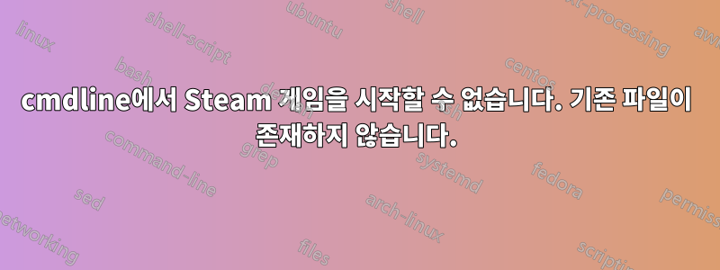 cmdline에서 Steam 게임을 시작할 수 없습니다. 기존 파일이 존재하지 않습니다.