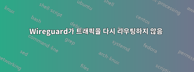 Wireguard가 트래픽을 다시 라우팅하지 않음