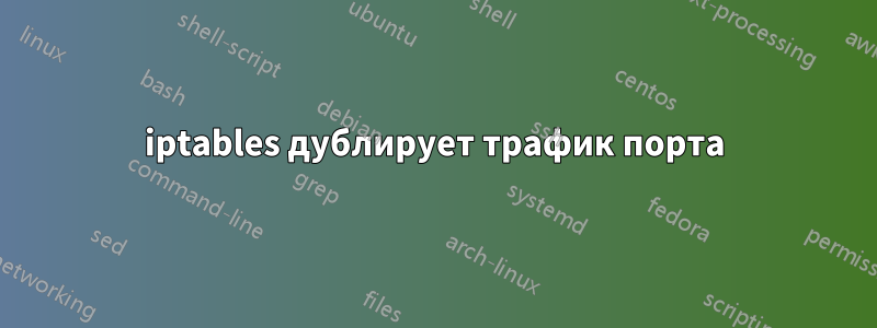 iptables дублирует трафик порта