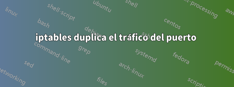 iptables duplica el tráfico del puerto