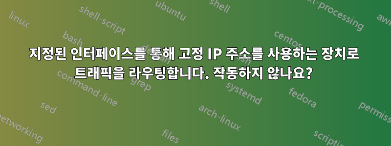 지정된 인터페이스를 통해 고정 IP 주소를 사용하는 장치로 트래픽을 라우팅합니다. 작동하지 않나요?