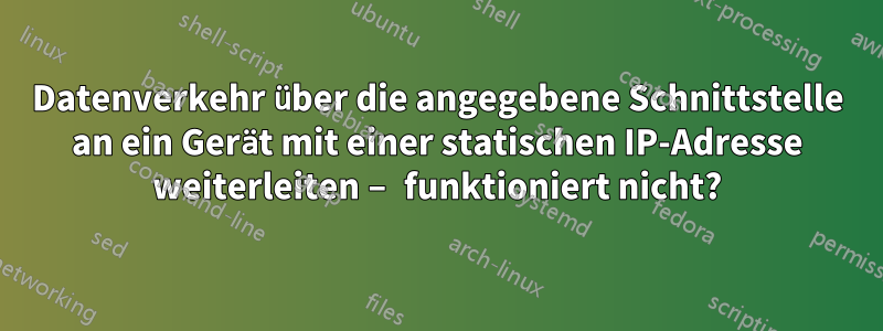 Datenverkehr über die angegebene Schnittstelle an ein Gerät mit einer statischen IP-Adresse weiterleiten – funktioniert nicht?