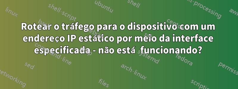 Rotear o tráfego para o dispositivo com um endereço IP estático por meio da interface especificada - não está funcionando?