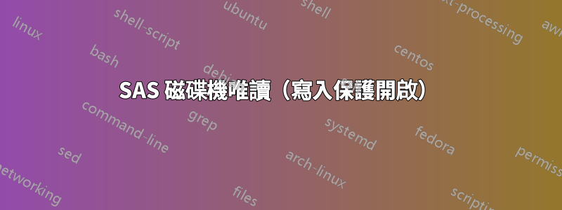 SAS 磁碟機唯讀（寫入保護開啟）